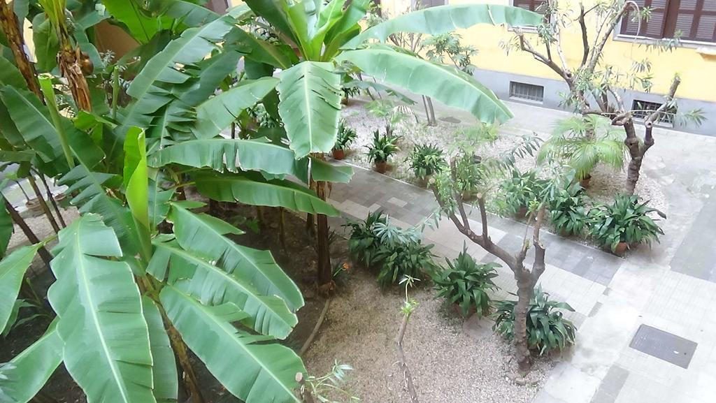 Bed And Breakfast Adduci'S House Рим Экстерьер фото