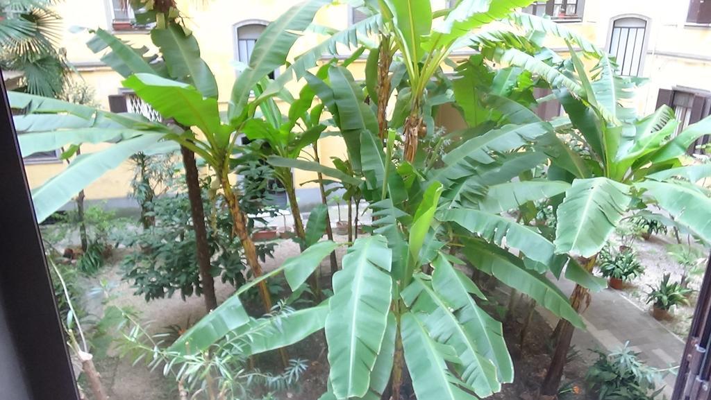 Bed And Breakfast Adduci'S House Рим Экстерьер фото